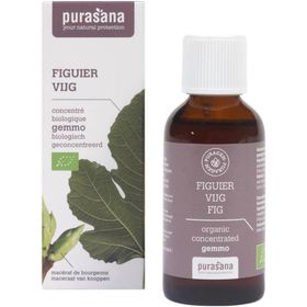 purasana PURAGEM Figue