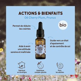 BIOFLORAL 06 - Cherry Plum - Prunus - 20 ml