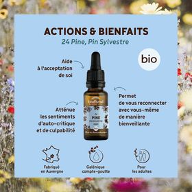 BIOFLORAL 24 - Pine - Pin sylvestre - 20 ml
