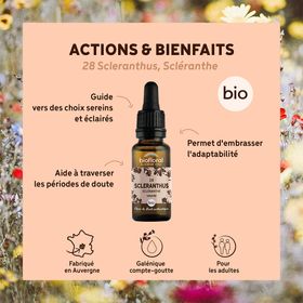 BIOFLORAL 28 - Scleranthus - Scléranthe - 20 ml