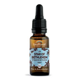 BIOFLORAL 29 - Star of Bethhleem - Etoile de Bethléem - 20 ml