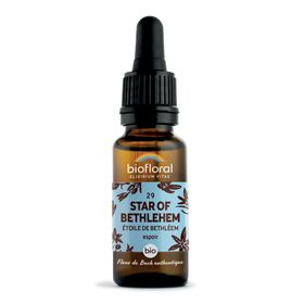 BIOFLORAL 29 - Stern von Bethlehem - Etoile de Bethléem - 20 ml