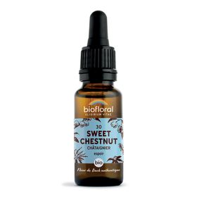 BIOFLORAL 30 - Sweet chestnut - Kastanie - 20 ml