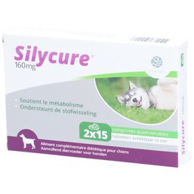 Silycure