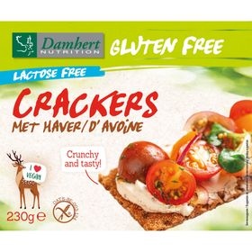 Damhert Cracker avoine sans lactose