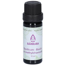 Shankara Basilikum Ätherisches Öl Methylchavique Bio