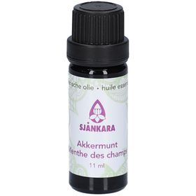 Shankara Pfefferminz Bio Ätherisches Öl