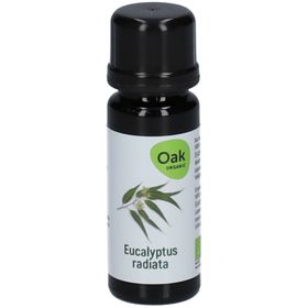 Eiche Huile Eucalyptus radiata
