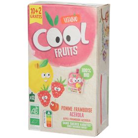 Vitabio Cool Fruits Appel - Framboos - Banaan Bio 12x90g