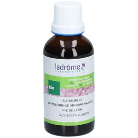 Ladrome Spitslobberige Vrouwenmantel Plantenextract