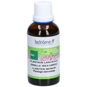 Ladrôme Smalle Plantain Lancéole Pflanzenextrakt