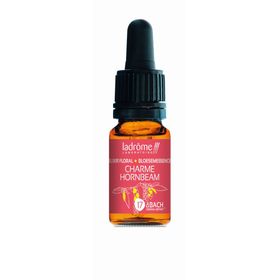 Ladrôme Charme Nr. 17