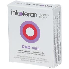 INTOLERAN DAO Mini