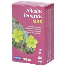 Tribulus Terrestris Max