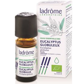 Ladrôme Ätherisches Öl aus Eukalyptus globulus