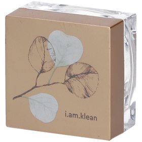 i.am.klean Loose Mineral Concealer Neutral