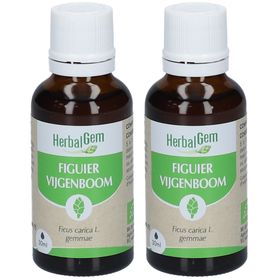 HerbalGem Bourgeons de Figuier Bio DUO