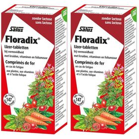 Floradix® Eisentabletten