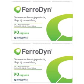 FerroDyn®