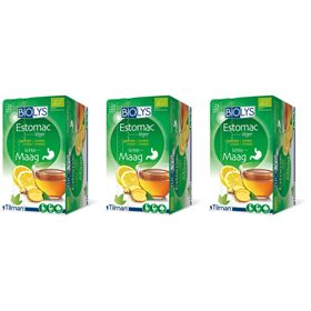 BIOLYS Ingwer - Zitrone