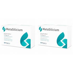 MetaSilicium®