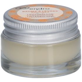 ENDRO Baume à lèvres agrumes bio