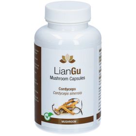 LIANGU Pilz Cordyceps
