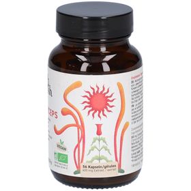 French Mush Cordyceps Bio