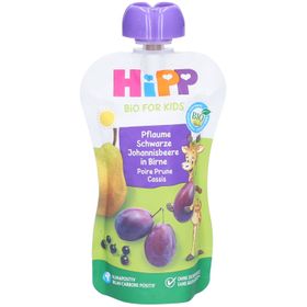 HiPP Bio Trinkflasche Birne Pflaume Schwarze Johannisbeere