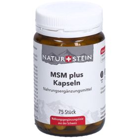 NATURSTEIN MSM plus