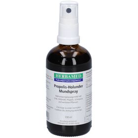 HERBAMED Propolis-Holunder Mundspray - Zinkergänzung