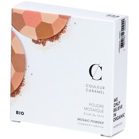 COULEUR CARAMEL Poudre Mosaïque Bio Teint clair