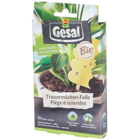 GESAL Trauermücken-Falle Bio 10 Stk