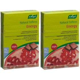 A.Vogel Energy