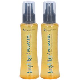 PULMASOL Umgebungsspray