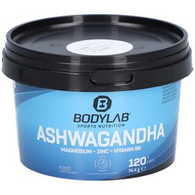 Bodylab24 Ashwagandha + Magnesium + Zink + Vitamin B6