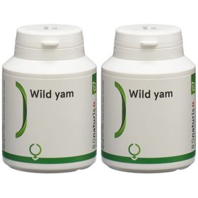 B'Onaturis Wild yam