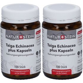 NATURSTEIN Taiga Echinacea