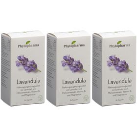 PHYTOPHARMA Lavendula