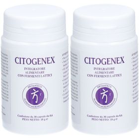 BROMATECH CITOGENEX - Complément alimentaire avec des ferments lactiques