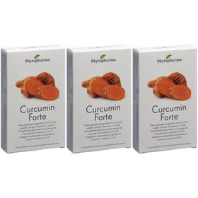 PHYTOPHARMA Curcumin Forte Kapseln flüssig