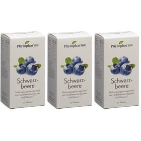 PHYTOPHARMA Heidelbeere