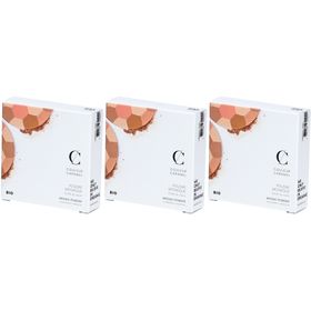 COULEUR CARAMEL Poudre Mosaïque Bio Teint clair