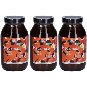 NATURKRAFTWERKE Bio Guarana Pulver