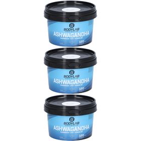 Bodylab24 Ashwagandha + Magnesium + Zink + Vitamin B6