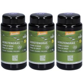 NATURKRAFTWERKE Gerstengras Pulver