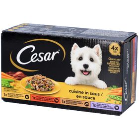 Cesar Cuisine en sauce - Nourriture humide en sauce pour chien Adulte