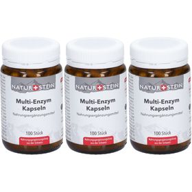 NATURSTEIN Multi-Enzym