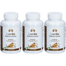 LianGu Cordyceps complément aux champignons avec vitamine C