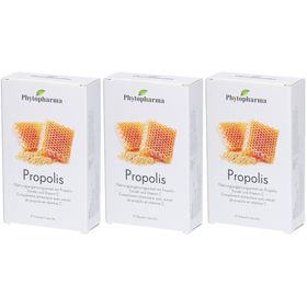 Phytopharma Propolis